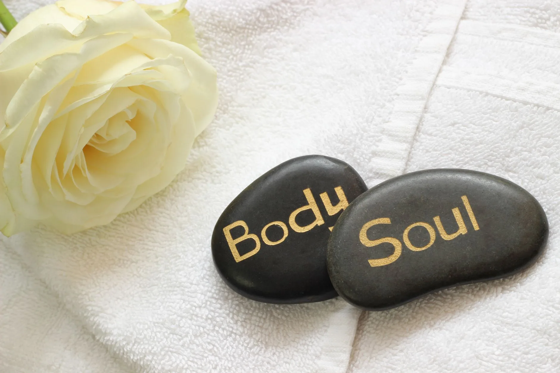 SPA & Wellness Rezervasyon Sistemi (Masaj, Hamam)