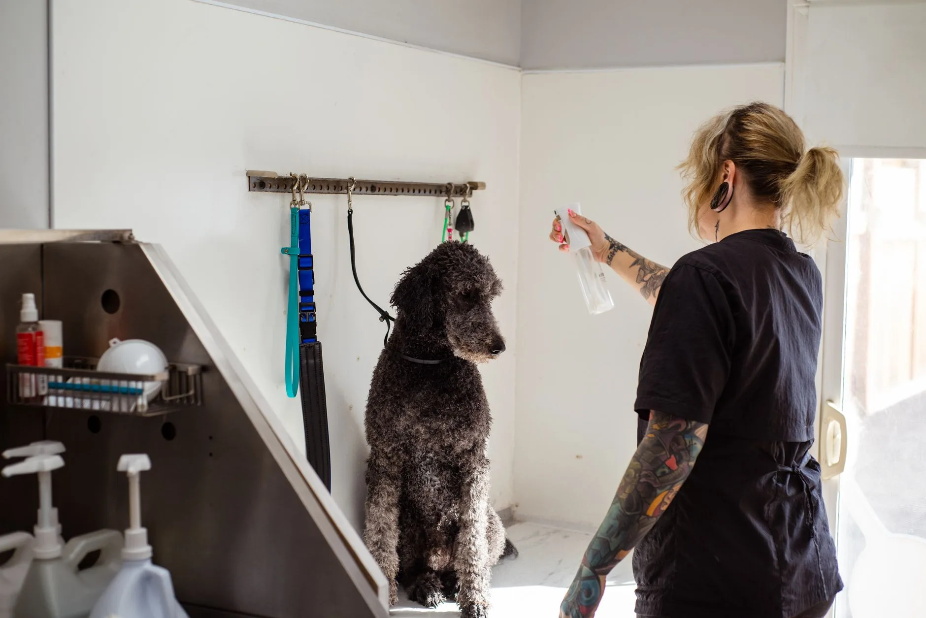 Pet Kuaför & Grooming Randevu/Takip Sistemi